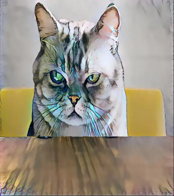 Cat seated across the table from us with a scowling expression.