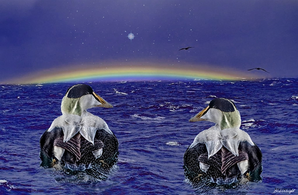 Howard the Duck on open water with aurora rainbow horizon