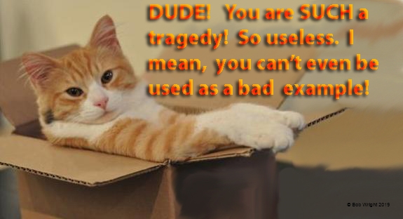 cat in a box8.jpg